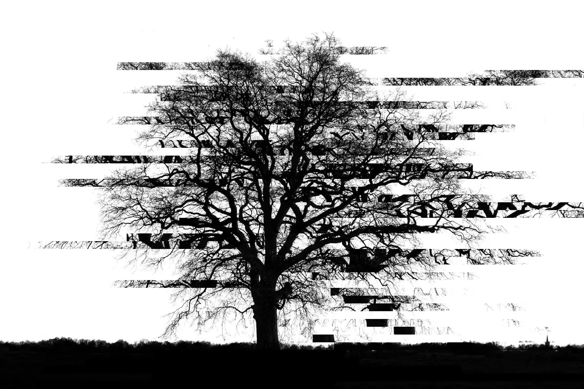 Hierarchical determinism: how Bitcoin's HD wallets are born