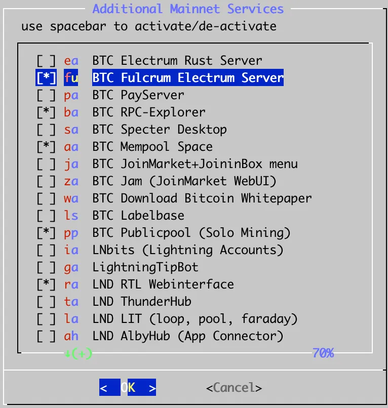 Raspiblitz additional services
