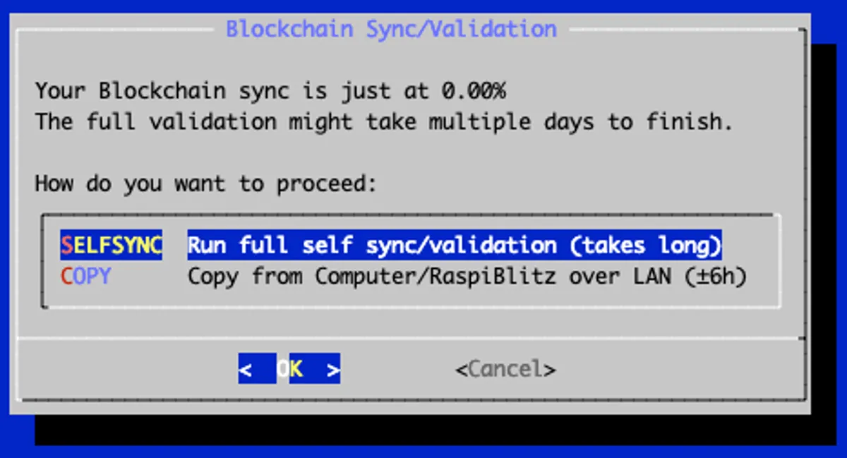 Raspiblitz blockchain sync