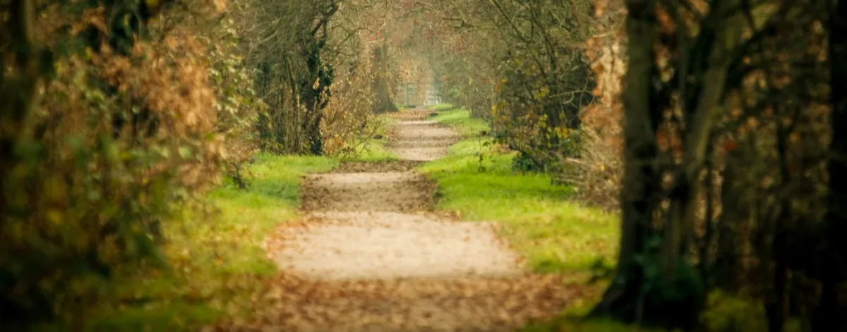 Tier 5 of Bitcoin self-custody: multisig, where the ladder ends and the path forward depends on your situation.